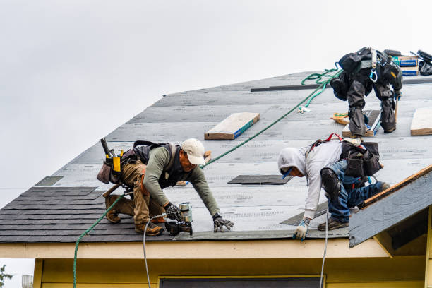 Professional Roof Installation technician working in Simms, MT